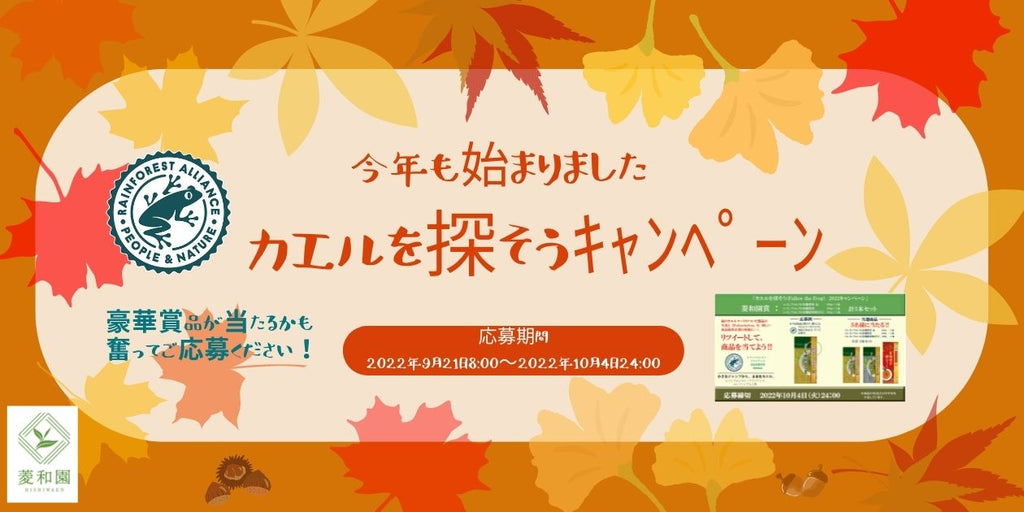 今年も始まりました。カエルを探そうキャンペーン