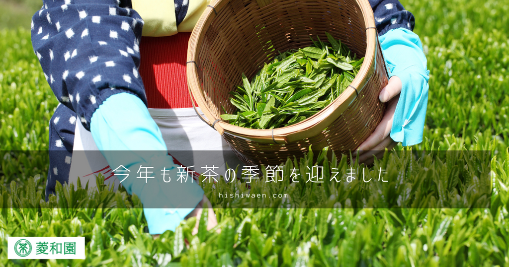 今年も新茶の季節を迎えました