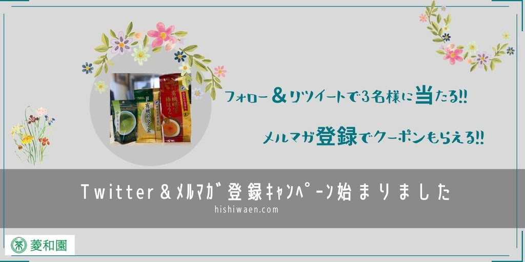 Twitter＆メルマガキャンペーン始めました