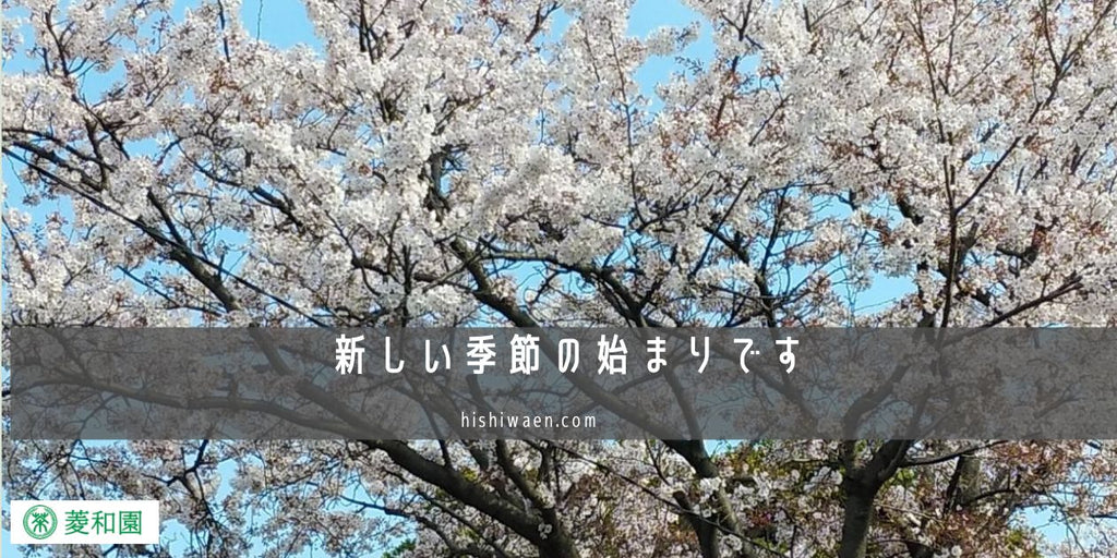 新しい季節の始まりです！